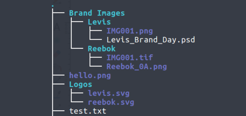 A directory tree
