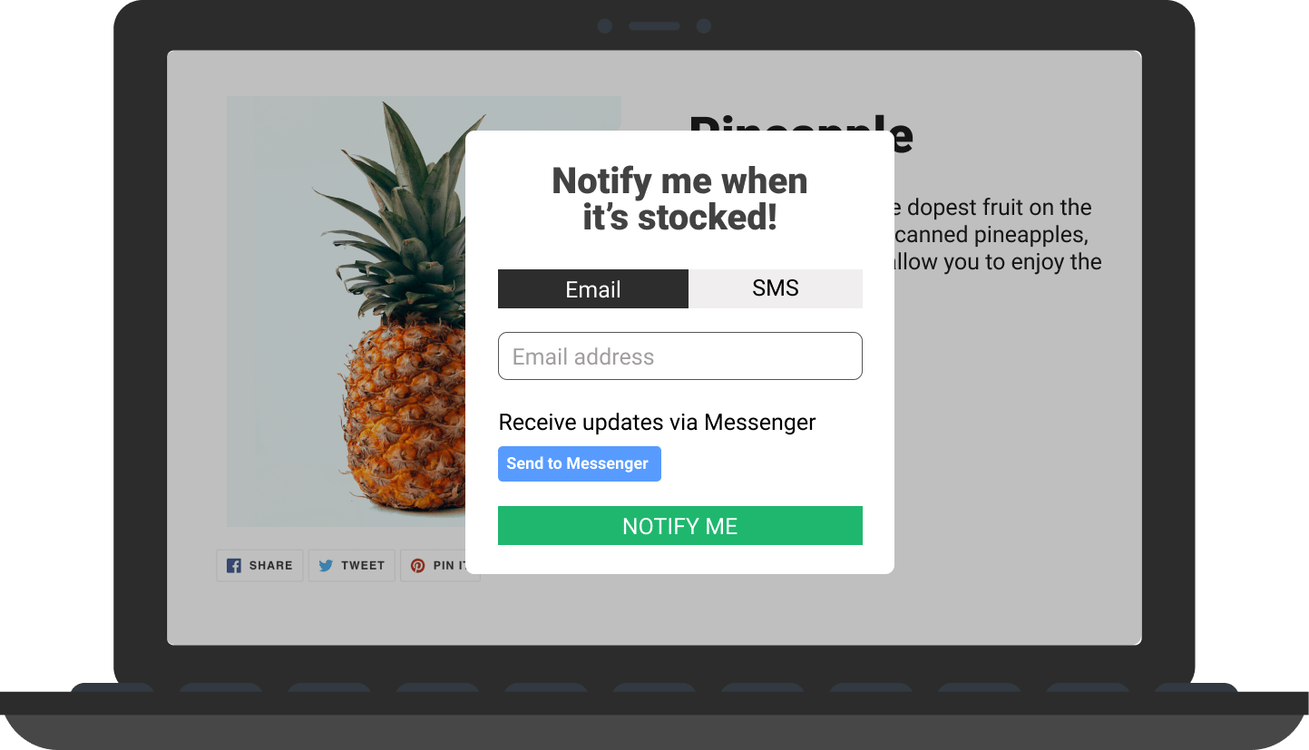 Example of back-in-stock notification
